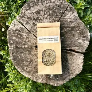 IMG 20260415 WA0029(1)